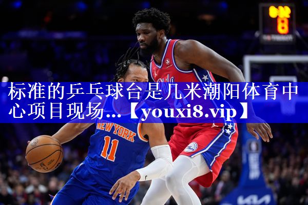标准的乒乓球台是几米潮阳体育中心项目现场…