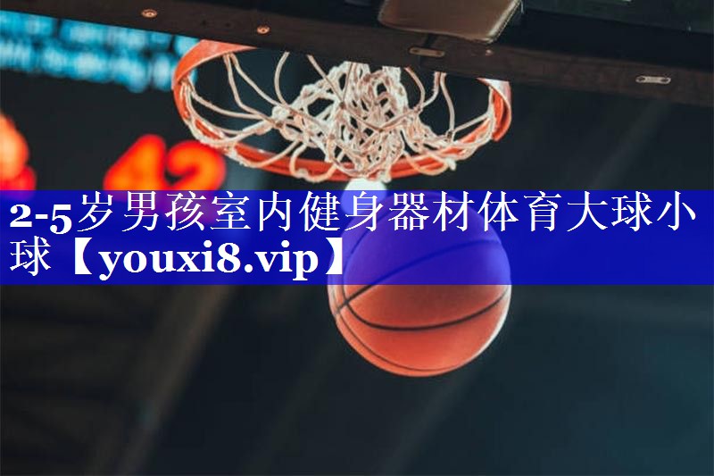 2-5岁男孩室内健身器材体育大球小球