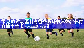 常见的运动器材有哪些篮球收米综合体育直播平台