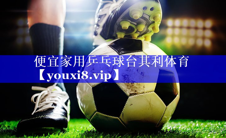 便宜家用乒乓球台其利体育