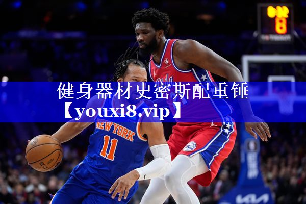 健身器材史密斯配重锤