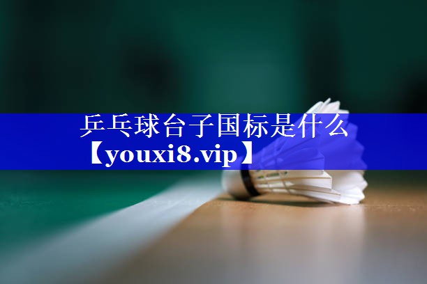 乒乓球台子国标是什么