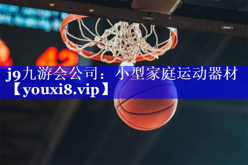 小型家庭运动器材 小型家庭运动器材