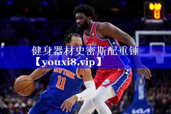健身器材史密斯配重锤 健身器材史密斯配重锤